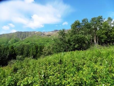 View of Arcose ridge from Bench trail